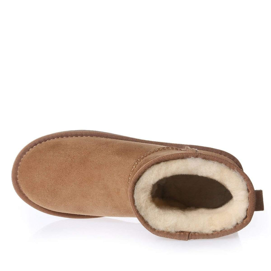 Platinum Mini Ugg Boots